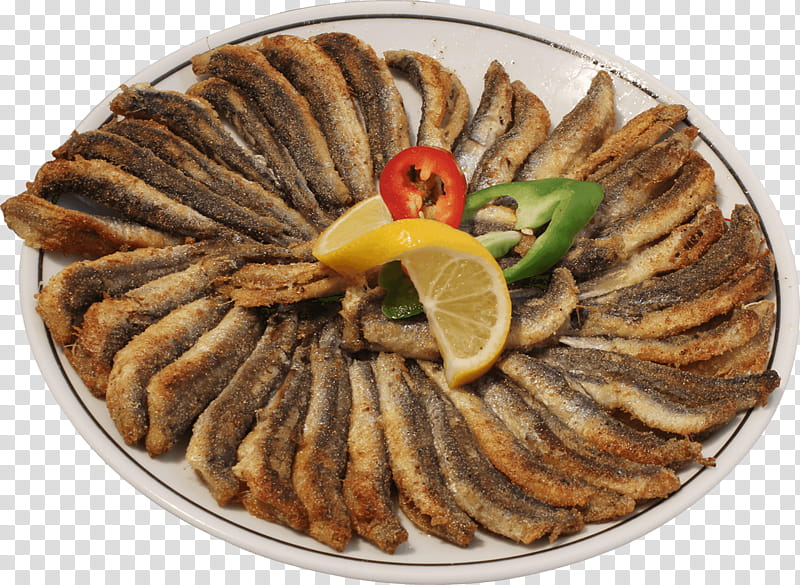 Hamsi - Sardellen
